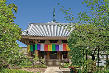 金剛院 本堂