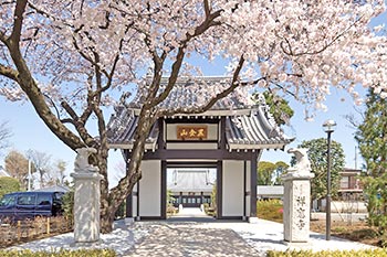 祥應寺 山門