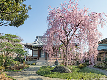 圓照寺