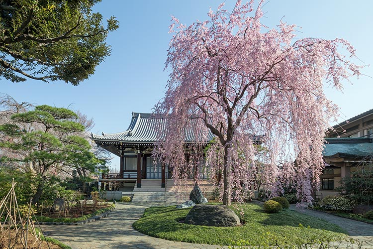 圓照寺 本堂外観